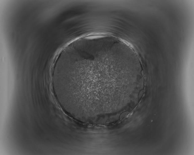 X0000085020337200703121547