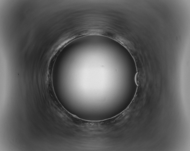 X0000085020338200703121547