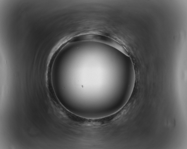 X0000085020340200703121547