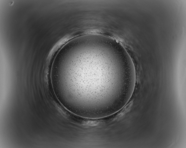 X0000085020341200703121547