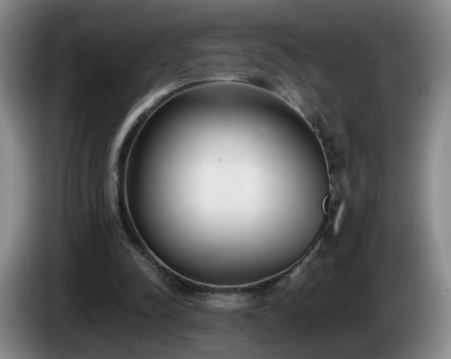 X0000085020342200703121547