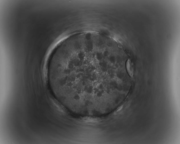 X0000085020343200703121547