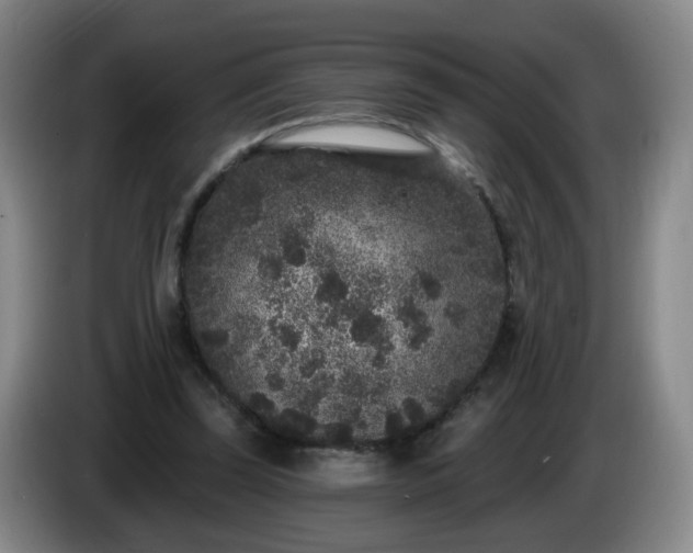 X0000085020347200703121547