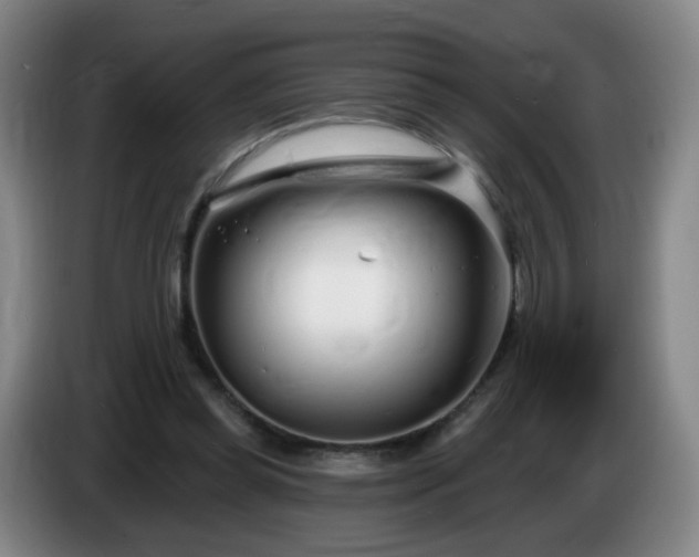 X0000085020349200703121547