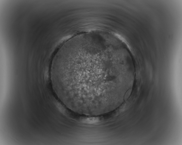 X0000085020353200703121547