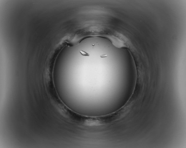 X0000085020354200703121547