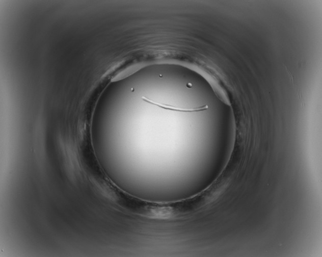 X0000085020355200703121547