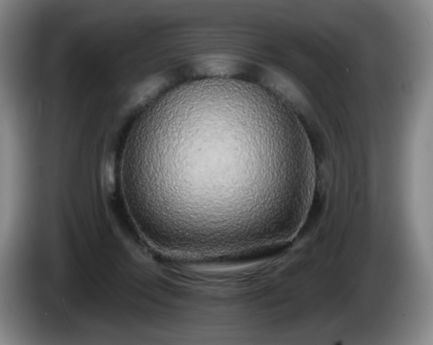 X0000085020358200703121547
