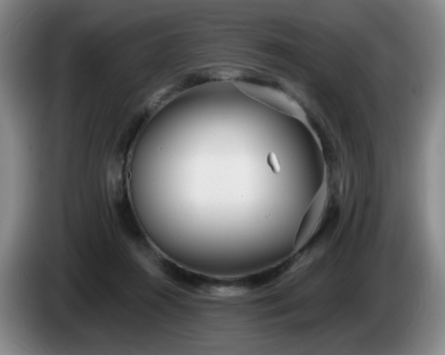 X0000085020360200703121547