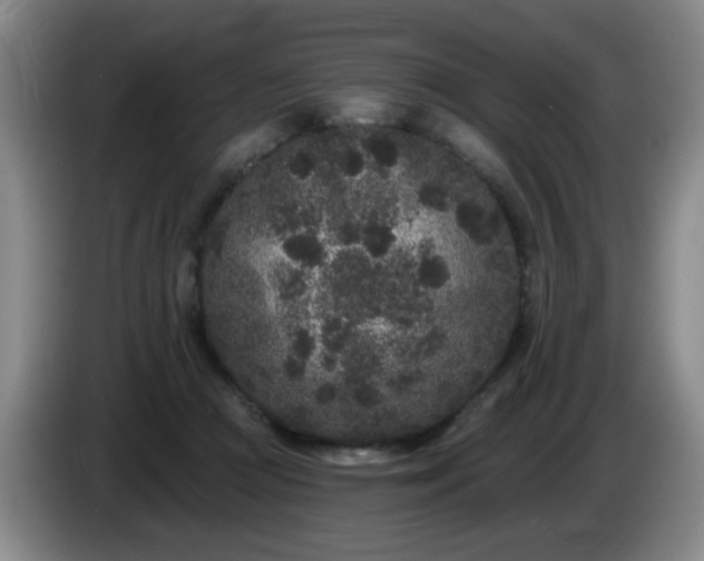 X0000085020361200703121547