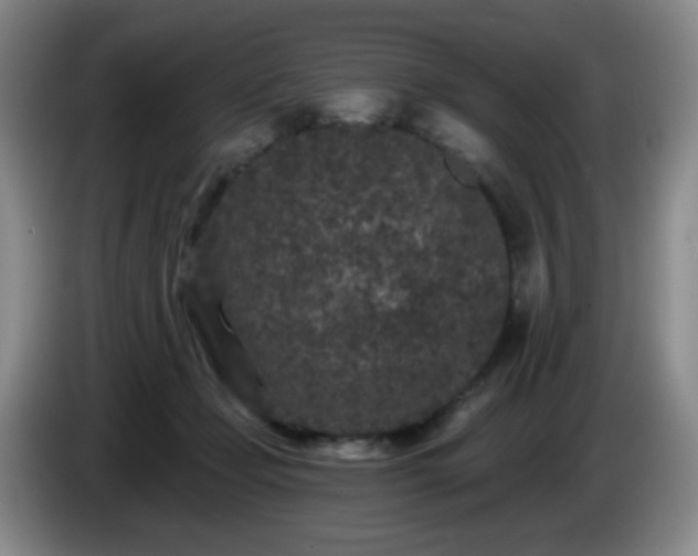 X0000085020365200703121547