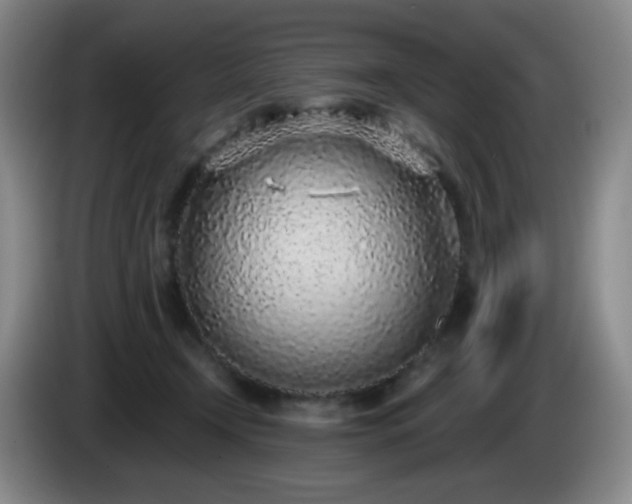 X0000085020366200703121547