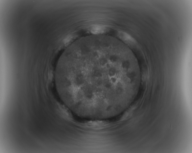 X0000085020367200703121547
