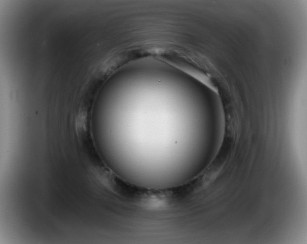 X0000085020368200703121547