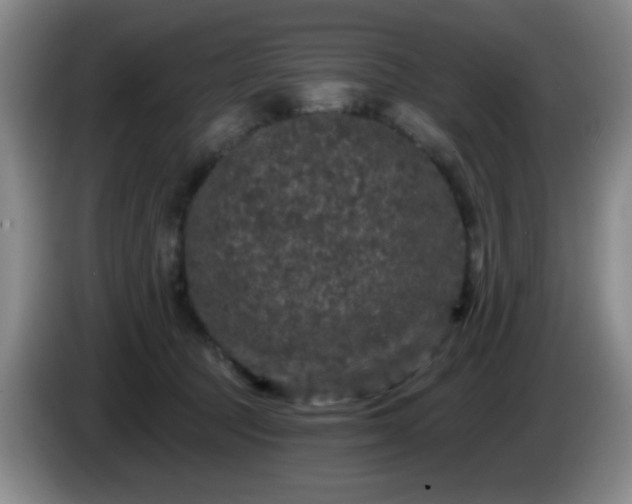 X0000085020369200703121547