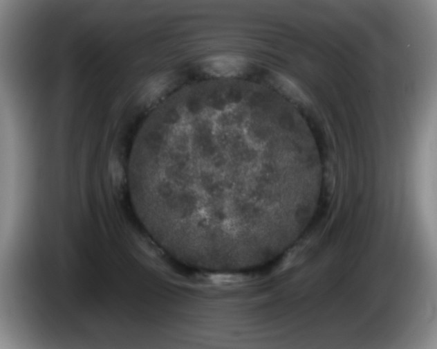 X0000085020371200703121547