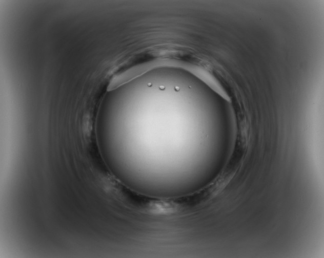 X0000085020372200703121547