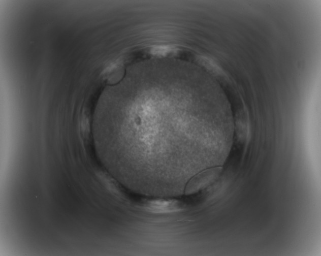 X0000085020375200703121547