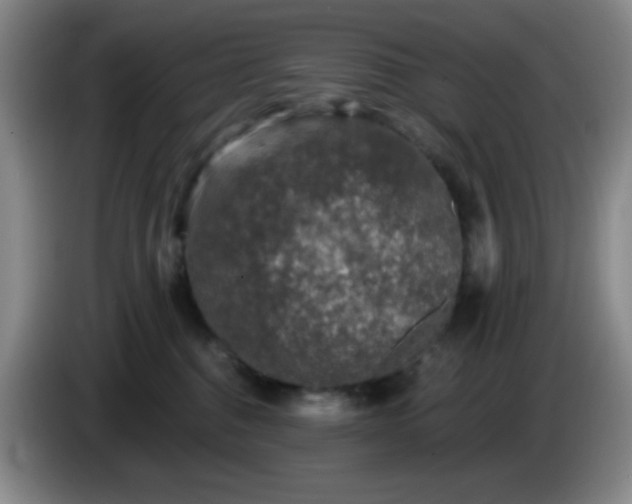 X0000085020376200703121548