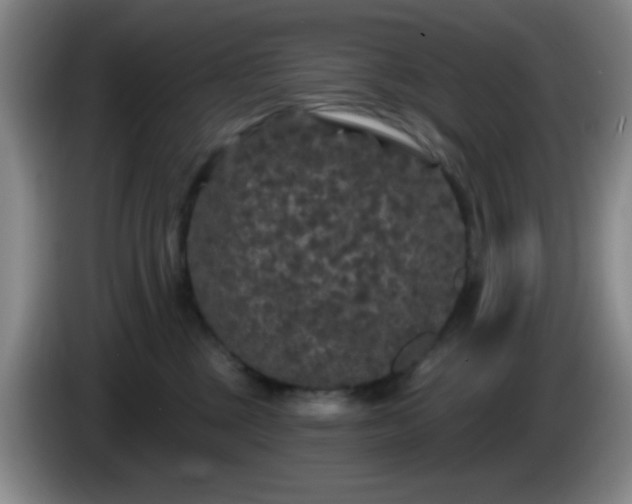 X0000085020377200703121548