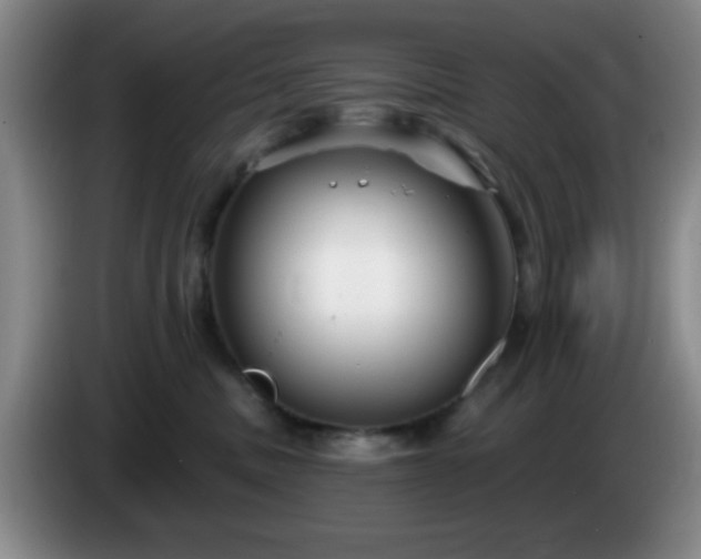 X0000085020379200703121548
