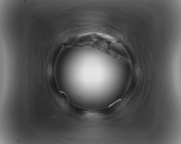 X0000085020380200703121548