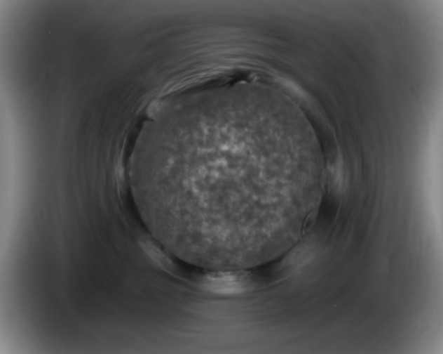 X0000085020381200703121548