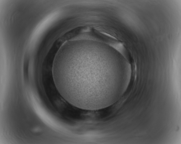 X0000085020383200703121548