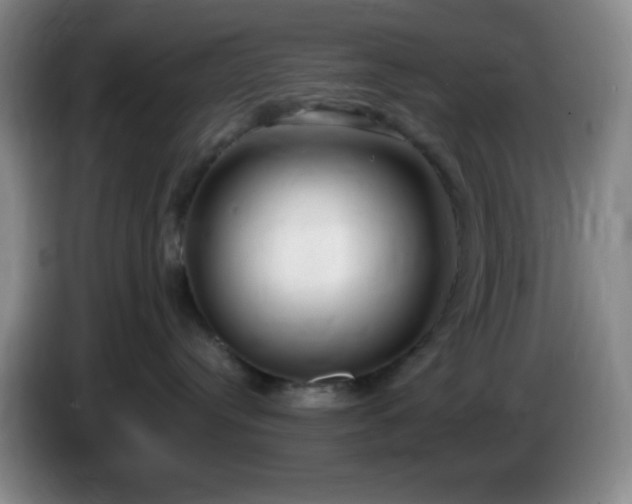 X0000085020384200703121548