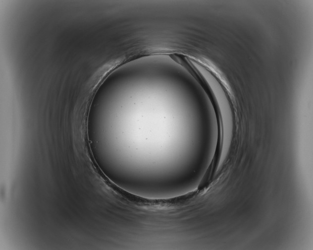 X0000085020385200703121547