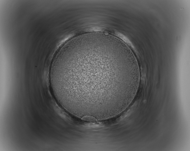 X0000085020386200703121547