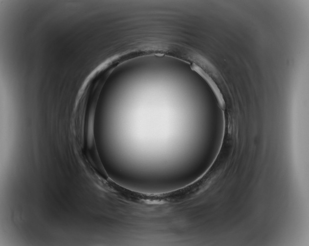 X0000085020388200703121547