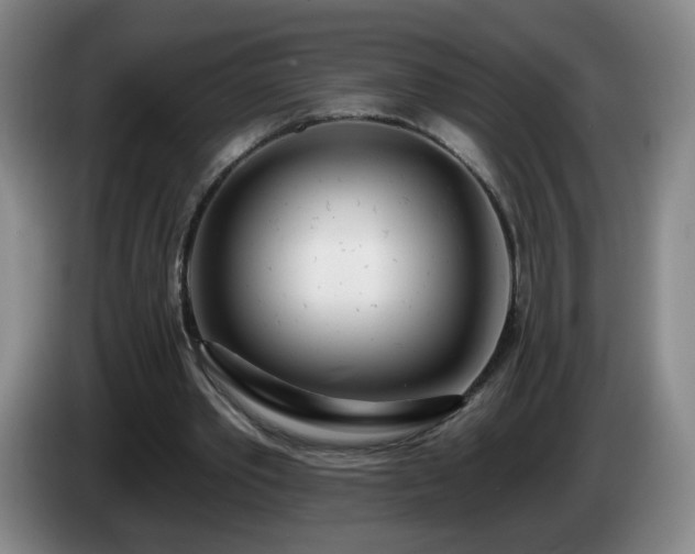 X0000085020389200703121547