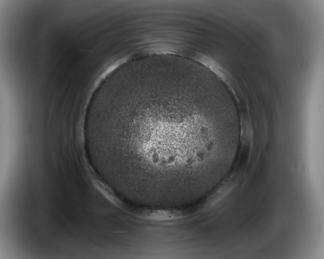 X0000085020390200703121547