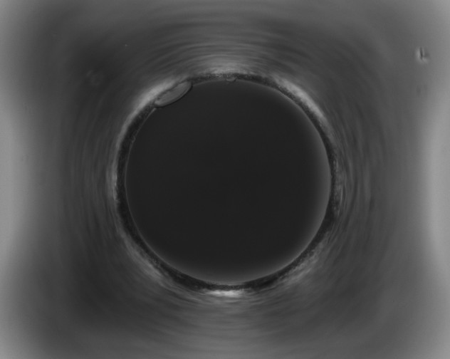X0000085020391200703121547