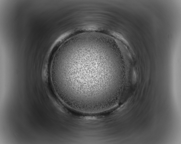 X0000085020392200703121547