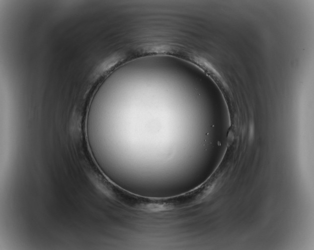 X0000085020394200703121547