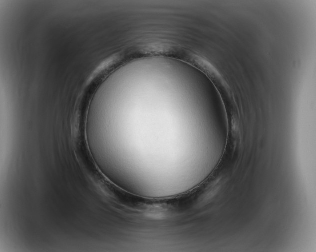 X0000085020396200703121547
