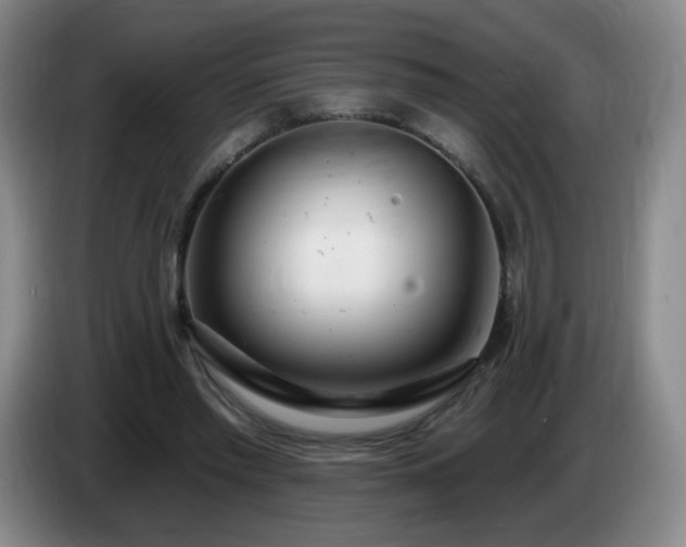 X0000085020397200703121547