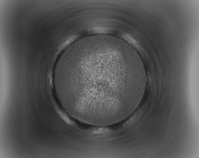 X0000085020398200703121547