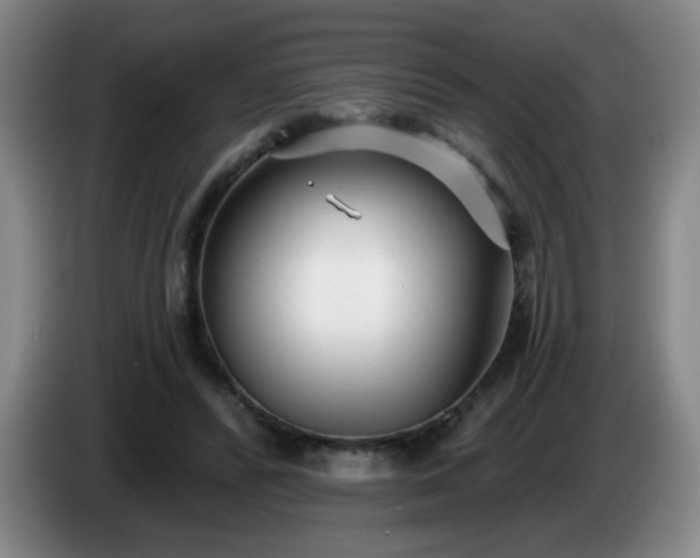 X0000085020400200703121547