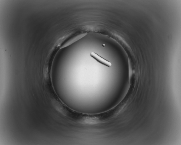 X0000085020403200703121547