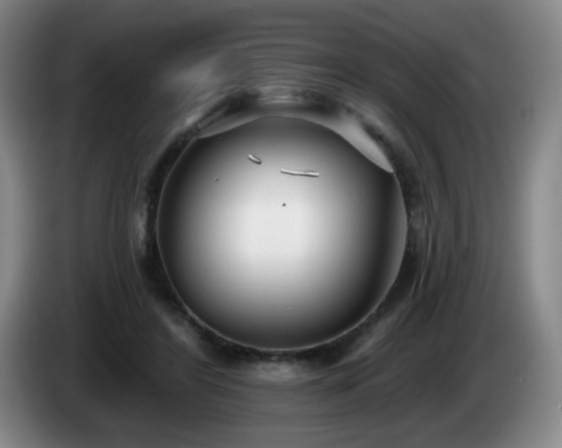 X0000085020404200703121547