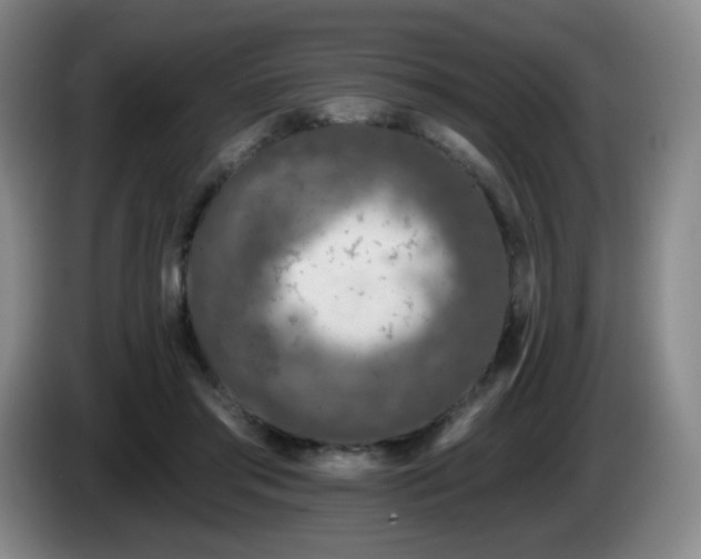 X0000085020405200703121547