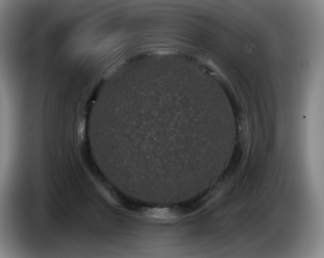X0000085020406200703121547