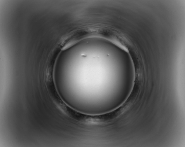 X0000085020408200703121547