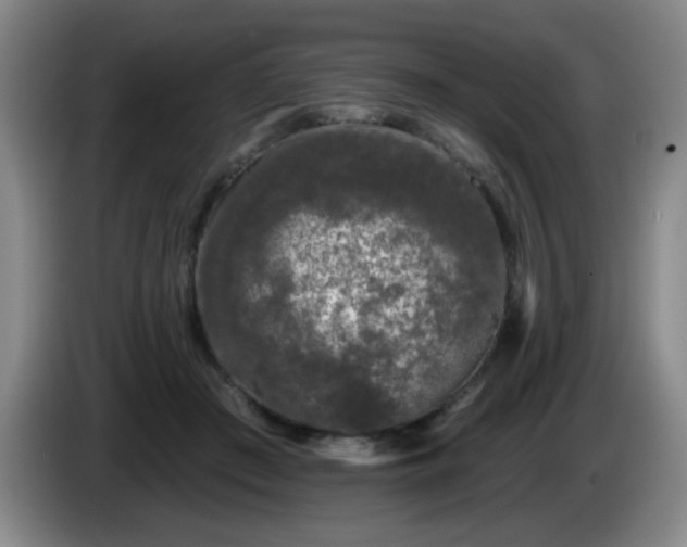 X0000085020409200703121547