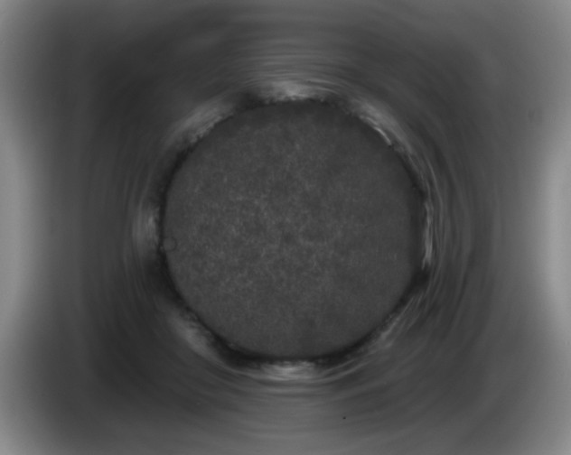X0000085020410200703121547