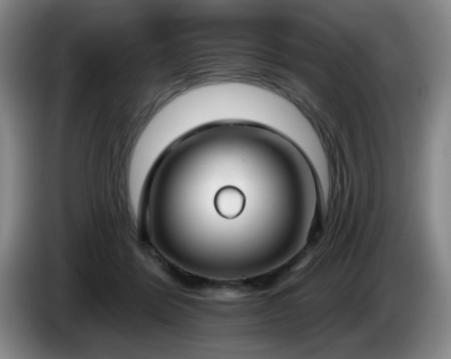 X0000085020412200703121547
