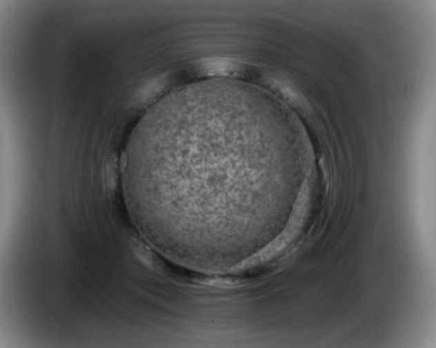 X0000085020413200703121547